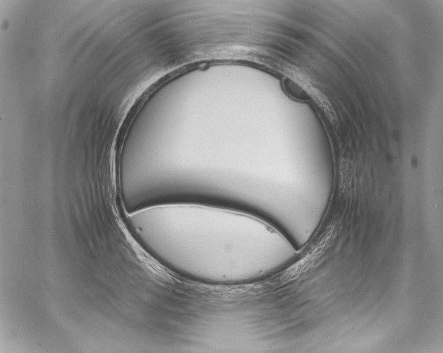 X0000060250988200510280934