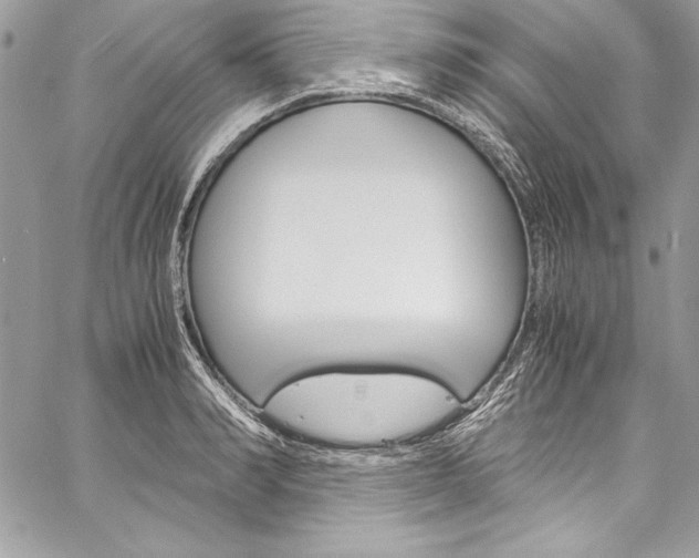 X0000060250990200510280934