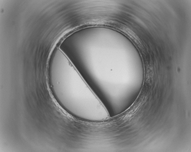 X0000060250992200510280934