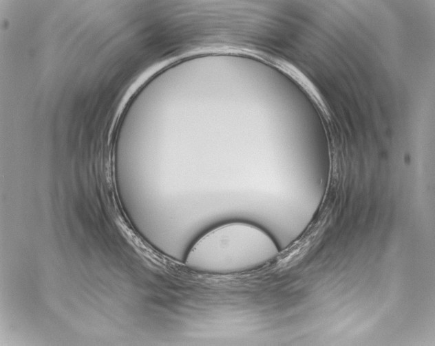 X0000060251004200510280934