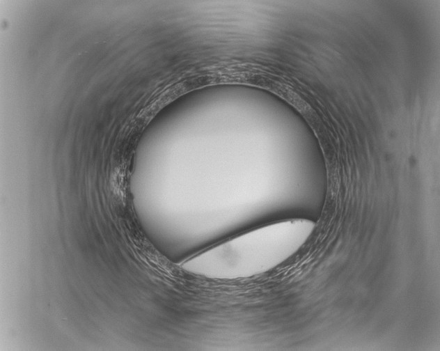 X0000060251010200510280933