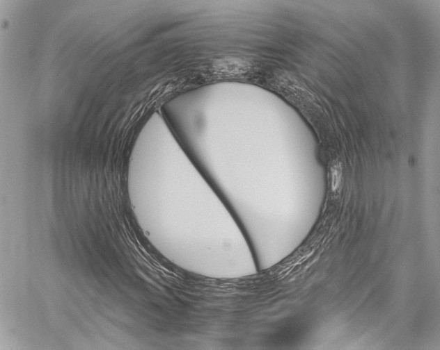 X0000060251011200510280933