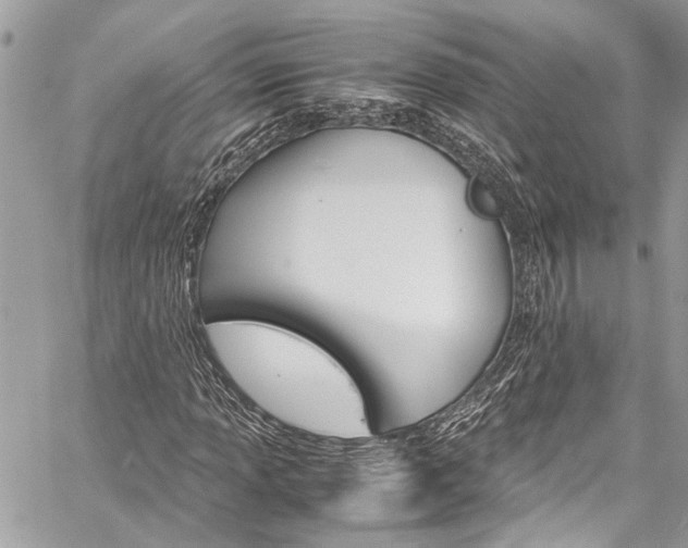 X0000060251013200510280933