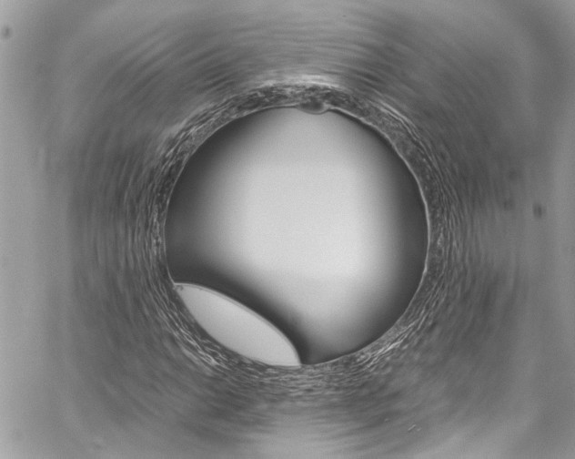 X0000060251014200510280933