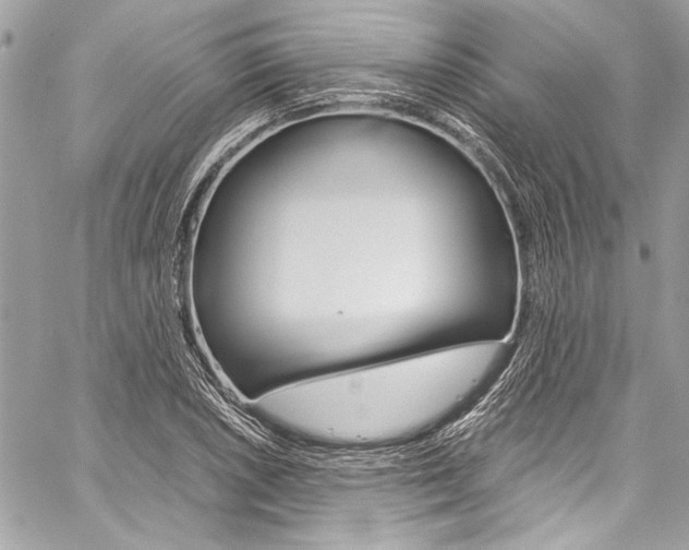 X0000060251026200510280933