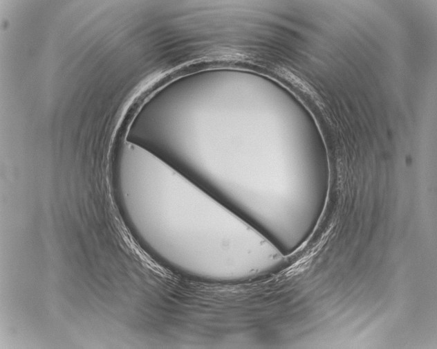 X0000060251029200510280933