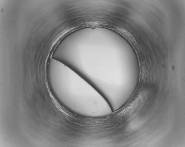 X0000060251039200510280933