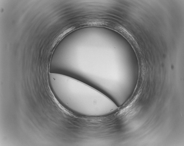 X0000060251041200510280933