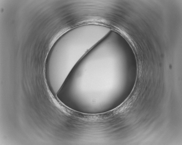 X0000060251042200510280933