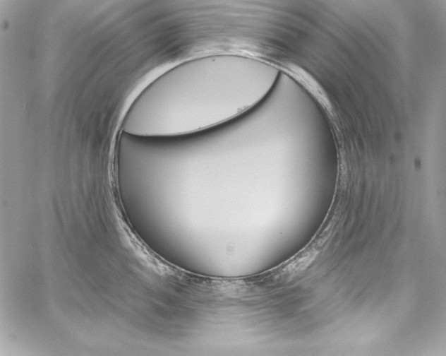 X0000060251052200510280933