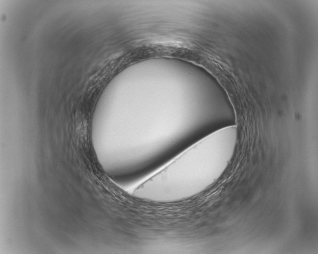 X0000060251061200510280933
