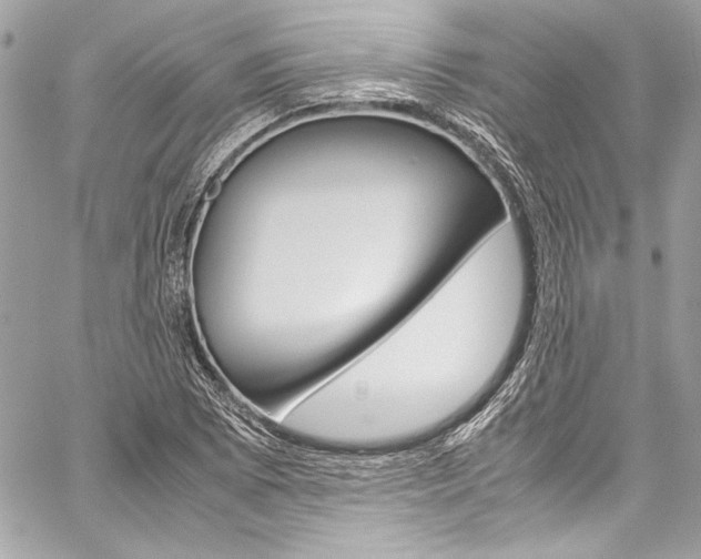 X0000060251073200510280932