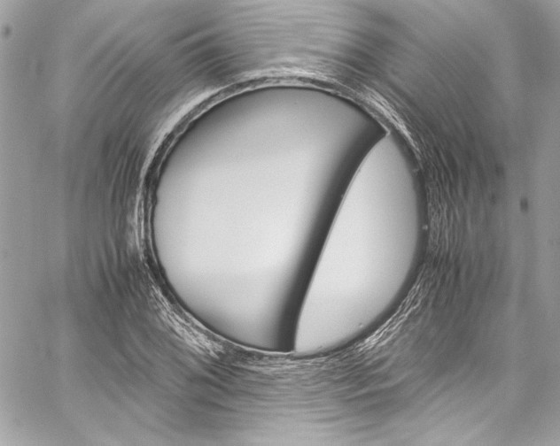 X0000060251076200510280932