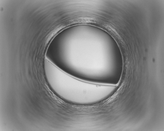 X0000060251081200510280932