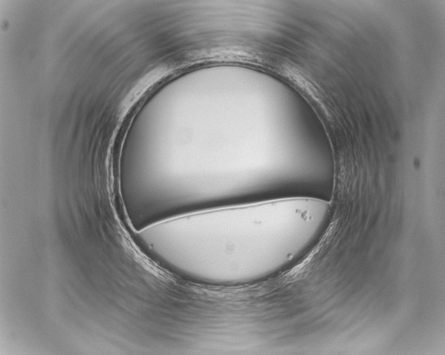 X0000060251082200510280932