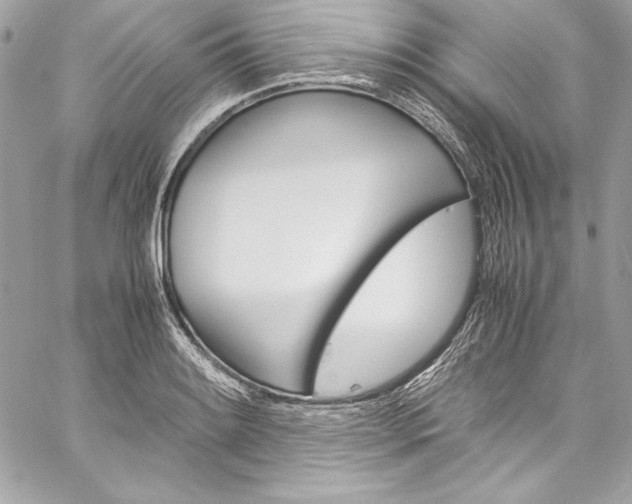 X0000060251084200510280932
