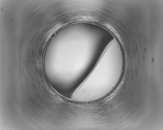 X0000060251089200510280932