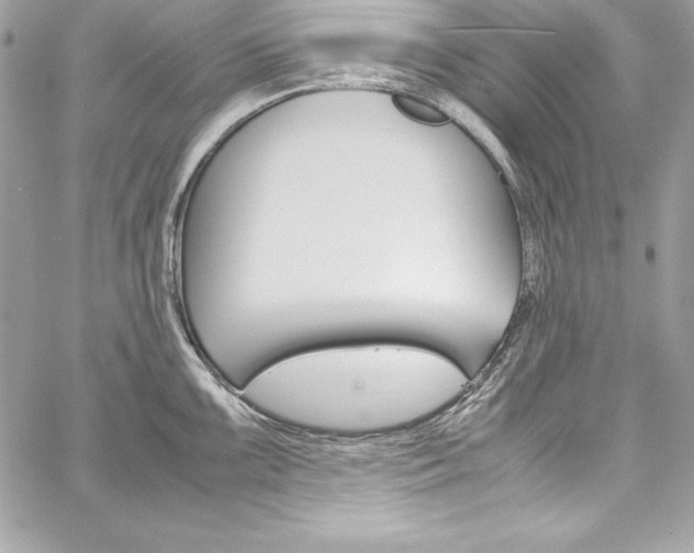 X0000060251099200510280932