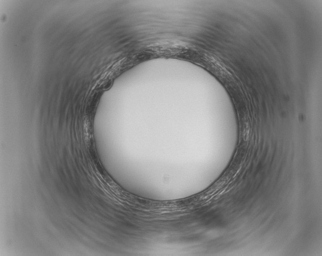 X0000060251108200510280931