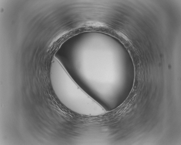 X0000060251112200510280931