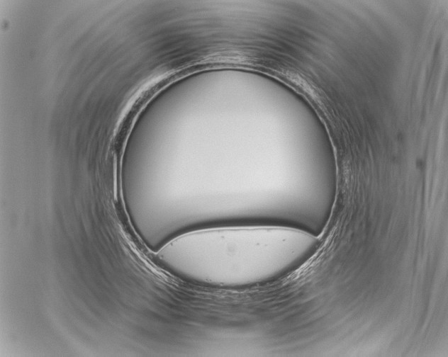 X0000060251123200510280931