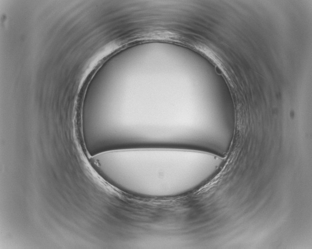 X0000060251139200510280932