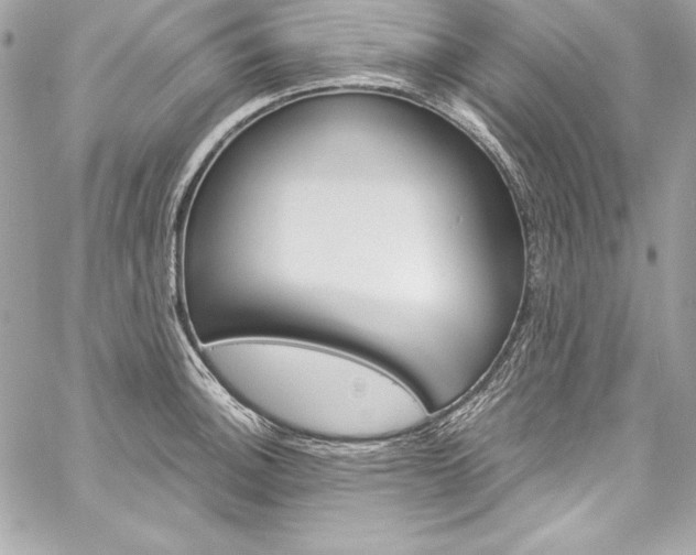 X0000060251140200510280932