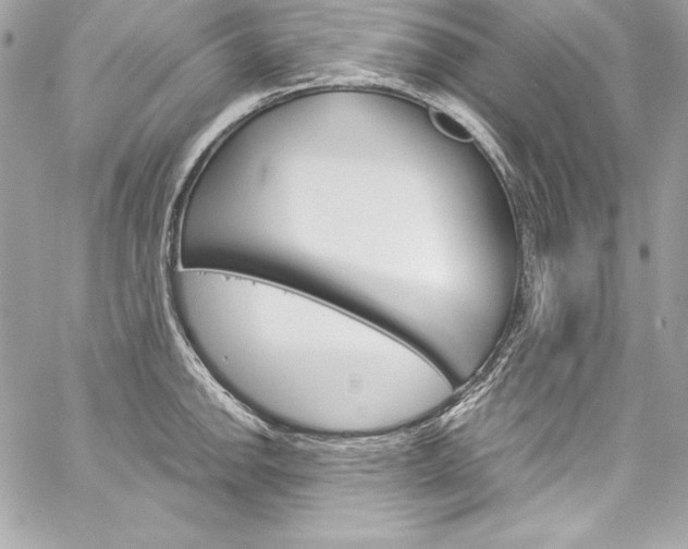 X0000060251142200510280932