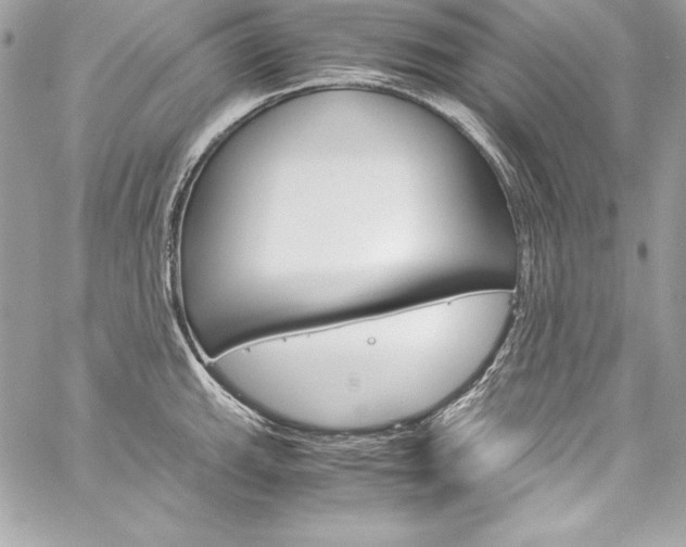 X0000060251143200510280932
