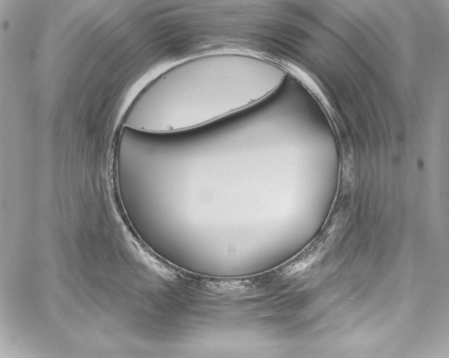 X0000060251149200510280932