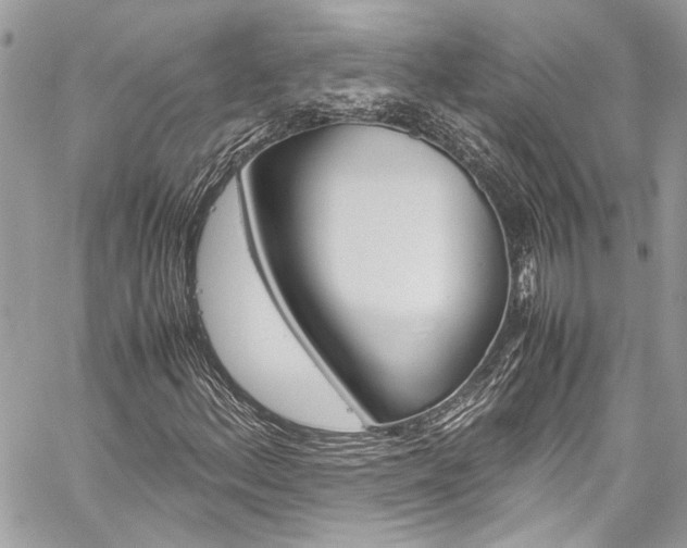 X0000060251156200510280931