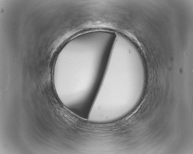 X0000060251167200510280931
