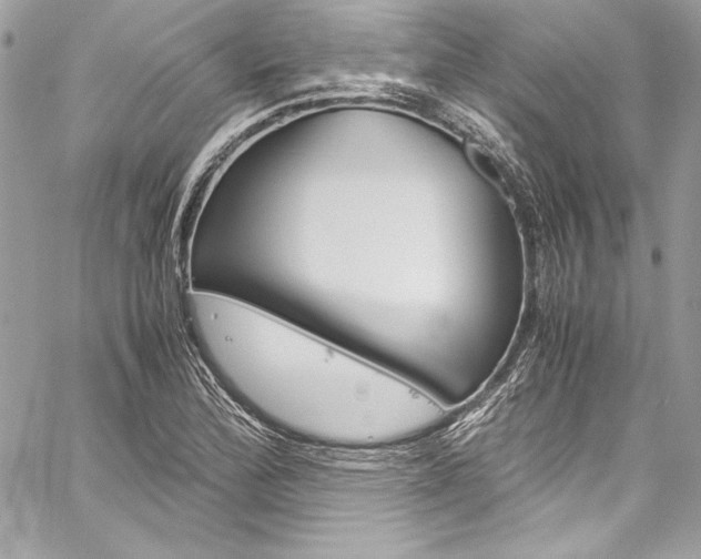 X0000060251172200510280931