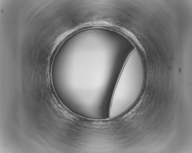 X0000060251176200510280931