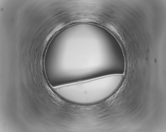 X0000060251181200510280931