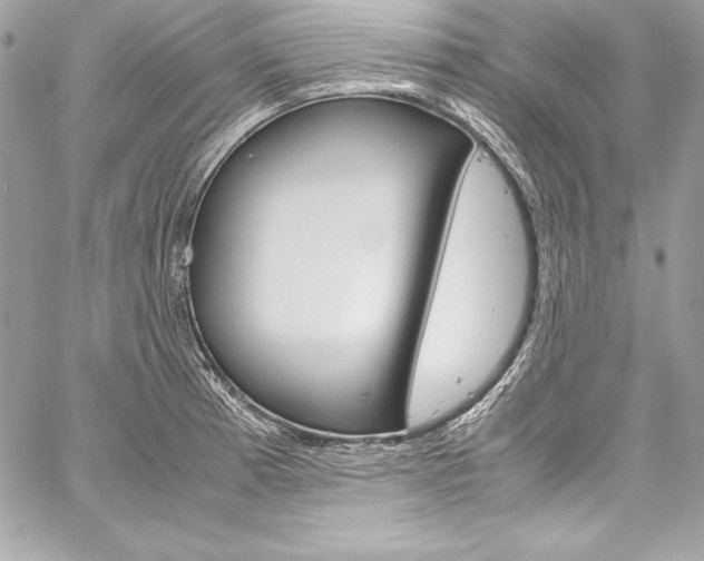X0000060251185200510280931