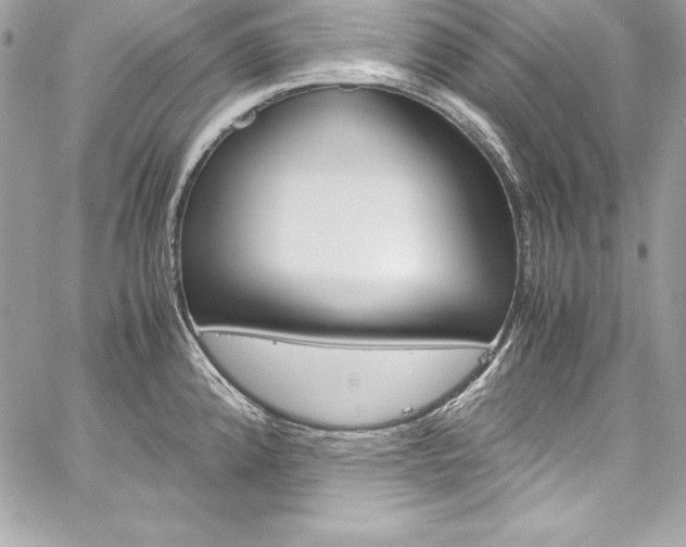 X0000060251192200510280930