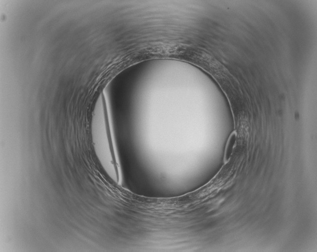 X0000060251202200510280930