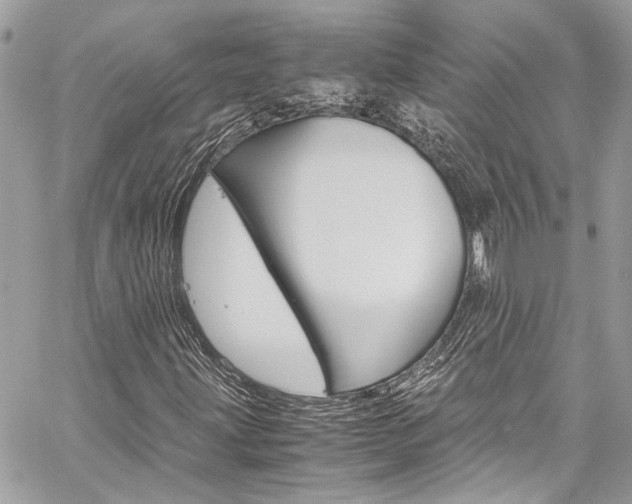 X0000060251203200510280930