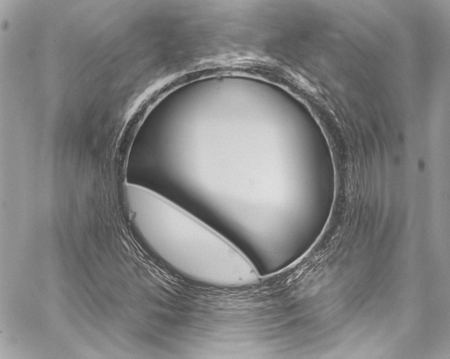X0000060251214200510280930