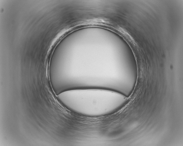 X0000060251224200510280930