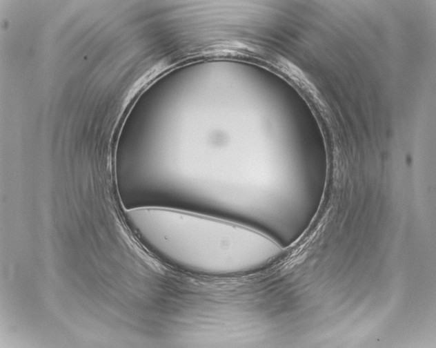 X0000060251234200510280930