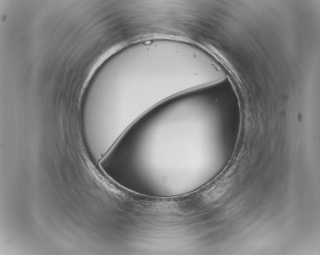 X0000060251238200510280930