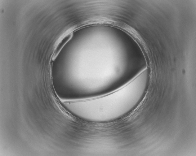 X0000060251242200510280930