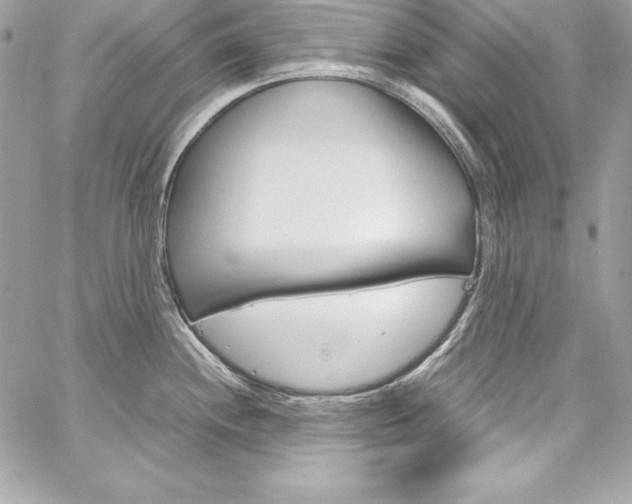 X0000060251244200510280930