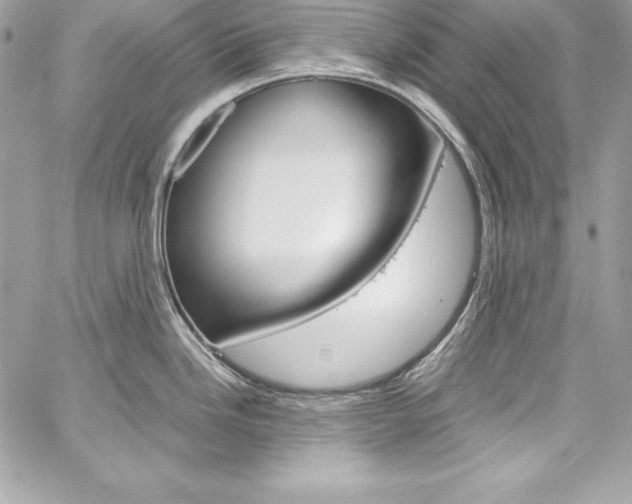 X0000060251246200510280930