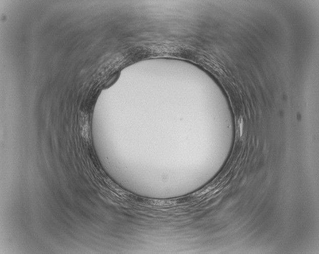 X0000060251251200510280929