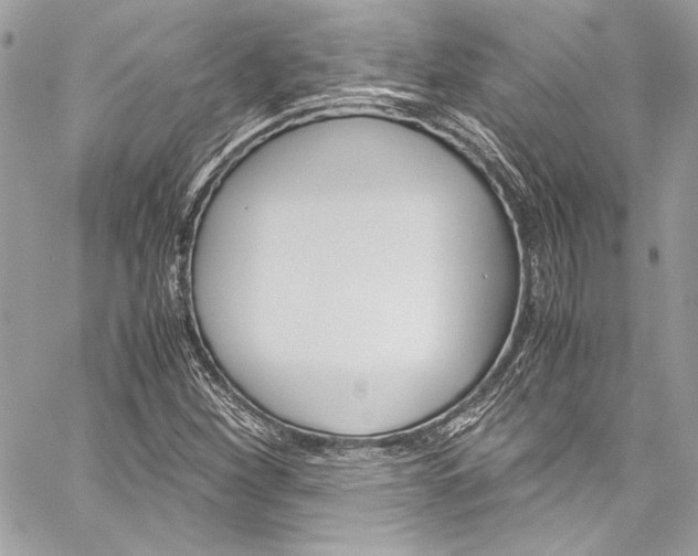 X0000060251260200510280929