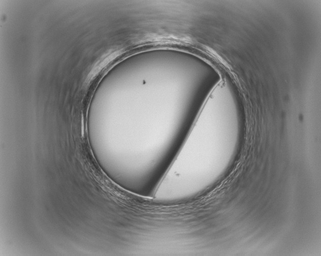 X0000060251269200510280929