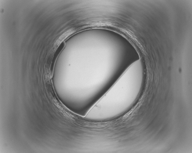 X0000060251273200510280929